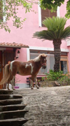 Agriturismo Raggio di Sole Nonna Giovina